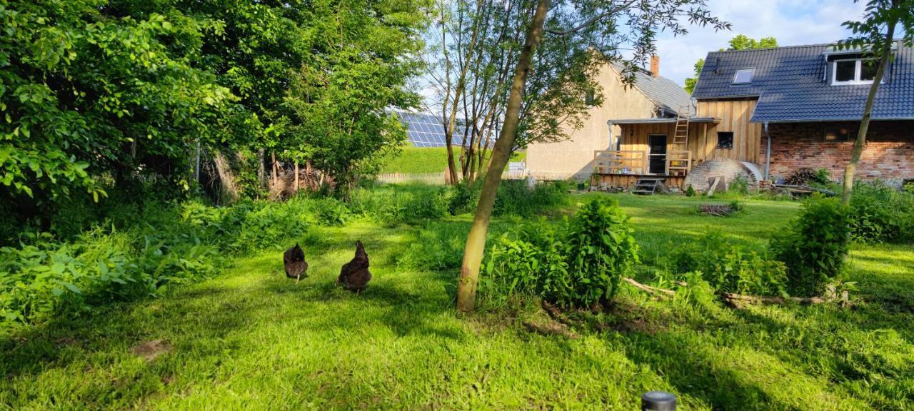 Ferienwohnung & Campingplatz Vor Dem Berg Heideblick Εξωτερικό φωτογραφία